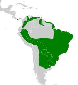 Distribución geográfica del mosquero estriado.