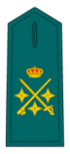 Divisa de teniente general
