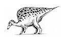 A spotted Ouranosaurus nigeriensis