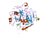 1ypl: X-ray crystal structure of thrombin inhibited by synthetic cyanopeptide analogue RA-1008