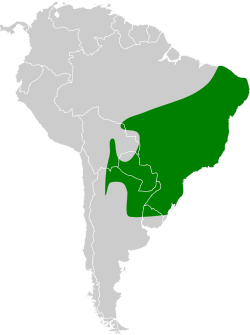 Distribución geográfica del anambé verdoso.