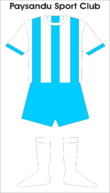 maillot traditionnel du Paysandu