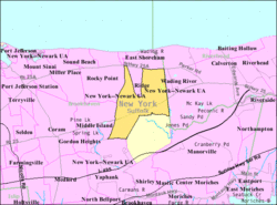 U.S. Census map