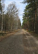 Straße von Schluft nach Zehdenick-Kurtschlag