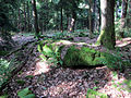 Überreste eines Gebäudes im Schubertswald