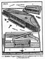 De haut en bas : ottavino, épinette polygonale et virginal