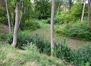 Vårbybäckens torrlaga ravin i Vårbyparken.