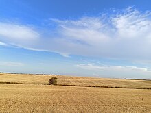 Vista desde las bodegas