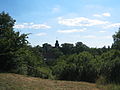 Blick vom Wallberg in Blankenburg