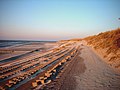 Plage et digue sur l'île de Wangerooge