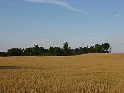 Countryside in western McDonald Township