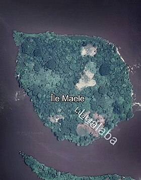 Île Maélé dans les Chutes Wagenia au bord du fleuve Congo.