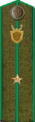 погон 1943