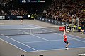 Finale du Tournoi de tennis de Paris-Bercy (6 novembre 2016)