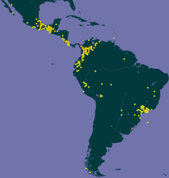 Mapa mostrando a distribuição confirmada de borboletas Actinote sp em pontos amarelos.