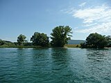 The Biber flows into the Rhine