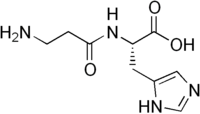 Struktur von Carnosin