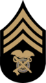 US chevron - quartermaster sergeant insignia (1902–1909) buff on black with blue detail.