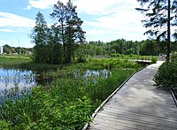 Promenadstig vid västra sidan av Dammträsket.