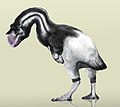 Dromornis