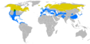 Widespread in Northern Hemisphere