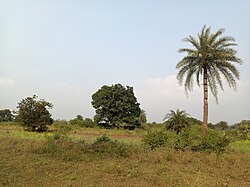 Gopikandar Local village photo in Gopikandar block