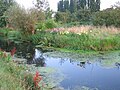 Des paysages sauvages en lisière de ville.