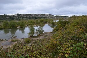 Houghton Regis Marl Lakes