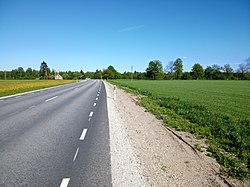 It's one of the rear beautiful road in a village