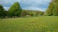 Golf course with artificial hill in background