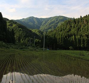 南麓から望む横山岳（2016年6月6日撮影）