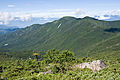 金峰山(左)と朝日岳(右)、北奥千丈岳から