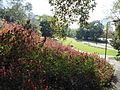 Side view of the Burle Marx Garden.