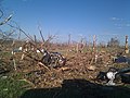 Image 2Tornado damage in Phil Campbell following the statewide April 27, 2011, tornado outbreak (from Alabama)