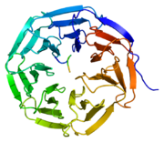 WDR5, involved in signal transduction