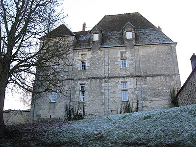 Le château de Salins.