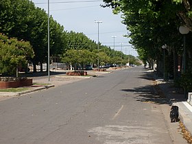 Salliqueló (Buenos Aires)