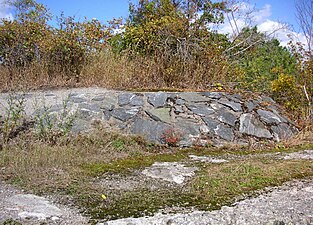 Igenväxt kulsprutevärn på Bergholmsberget nordost om fältet.