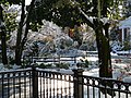 Après une tempête de neige en octobre 2011.