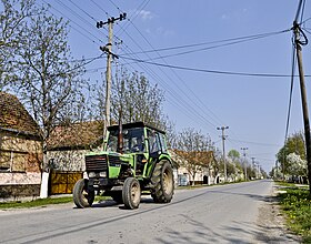 Vojka (Stara Pazova)