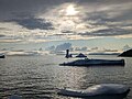 Image of an oddly shaped iceberg taken in Seal Cove