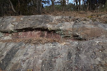 의성군 하산동층의 역암 북위 36° 30′ 01.0″ 동경 128° 25′ 17.0″﻿ / ﻿북위 36.500278° 동경 128.421389° ﻿ / 36.500278; 128.421389