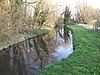 Boughton Fen