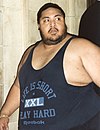 Yokozuna, vainqueur en 1993.