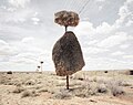 A Sociable Weaver nest in the Kalahari Desert, South Africa. Part of the series Assimilation.