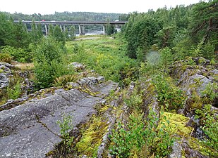 Döda Fallen