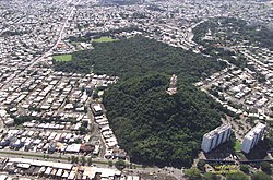 San Patricio Forest in Gobernador Piñero