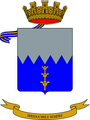 63rd Tank Regiment / (63rd "M.O. Fioritto")