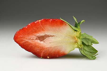 Strawberry, halved, by Iifar