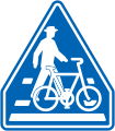 Bike and crosswalk